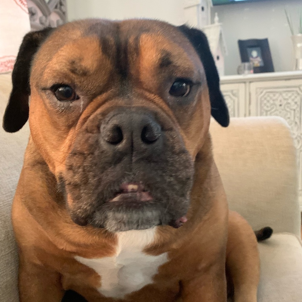 Meet your Posher, Mimi